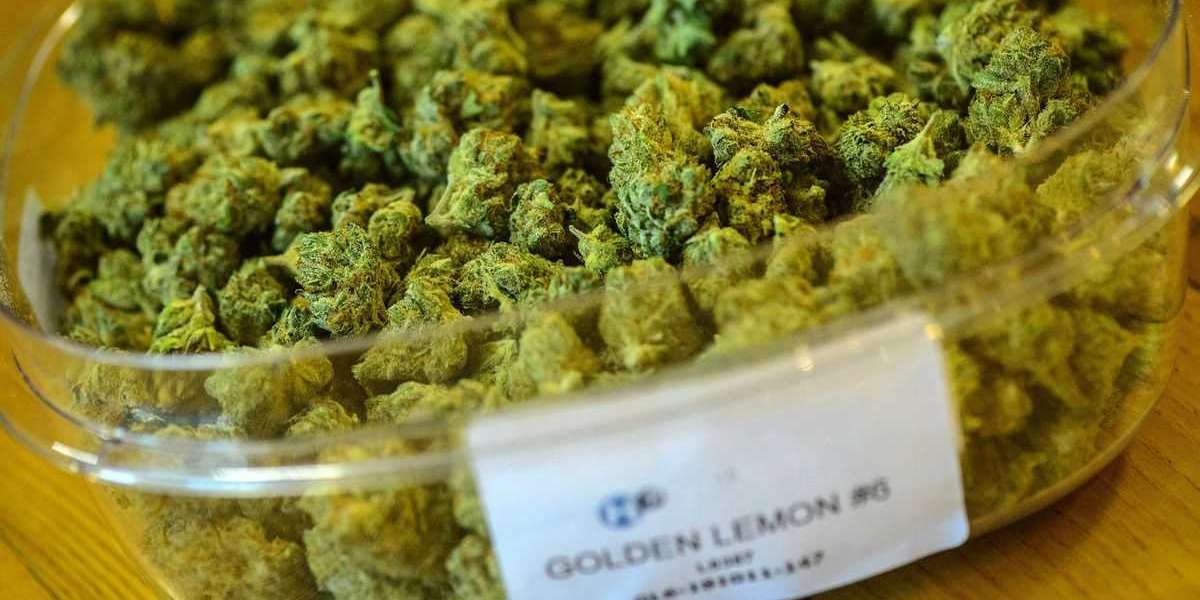 Advocates Push To Legalize Recreational Marijuana In Connecticut