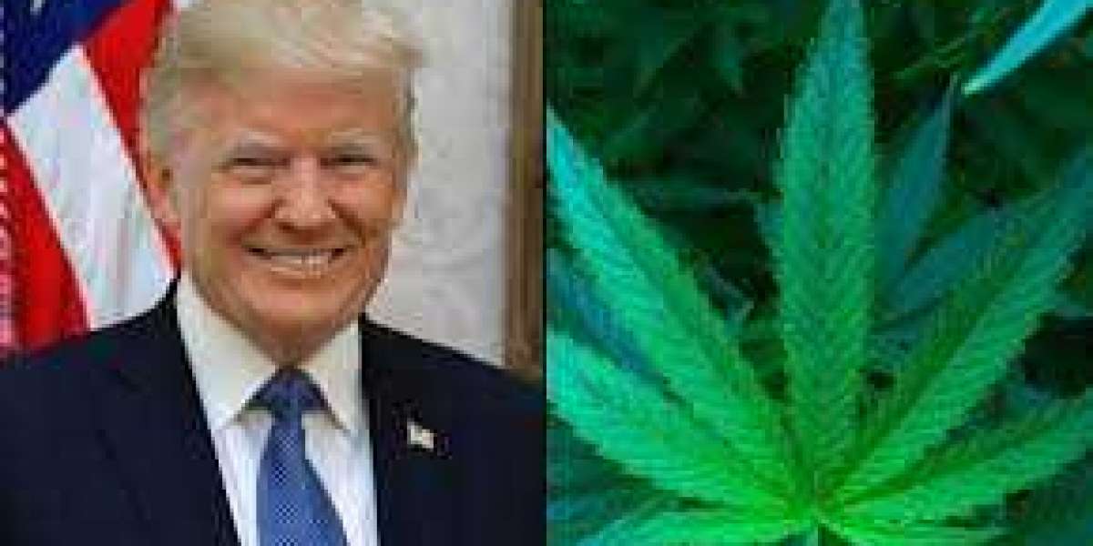 Trump Grants Clemency To Marijuana Prisoners On Last Day In Office