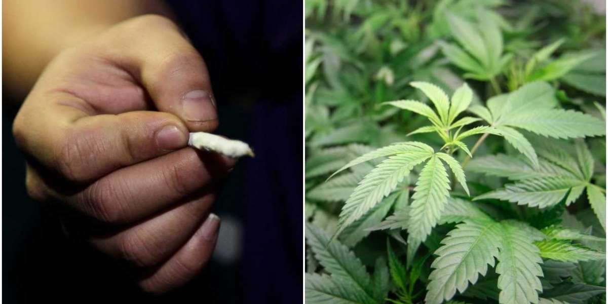 Benefits To Legalization of Recreational Marijuana In New York State