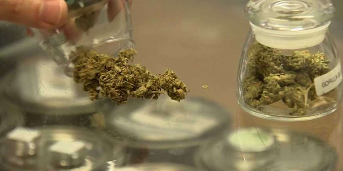 Tennessee Bill Would Decriminalize Possession <1 Ounce of Marijuana