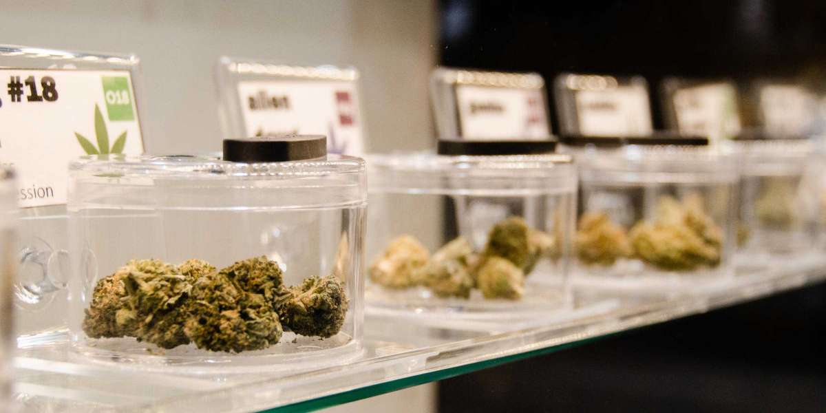 Burlington City Council Sends Retail Marijuana To The Ballot