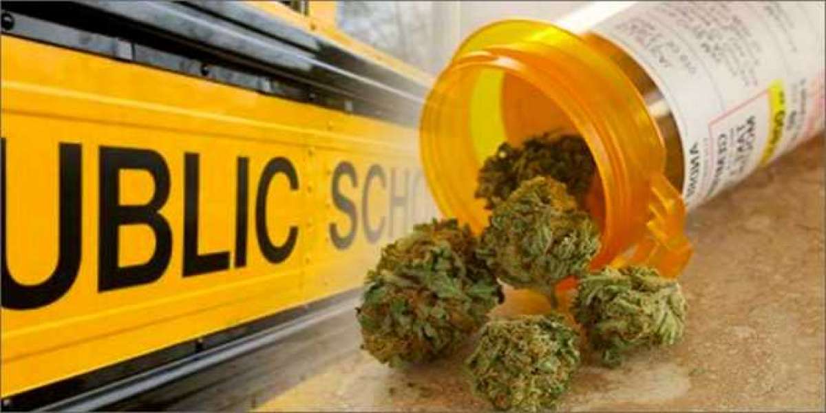 Colorado Will Soon Allow The Use Of Medical Marijuana In Schools Starting This Fall