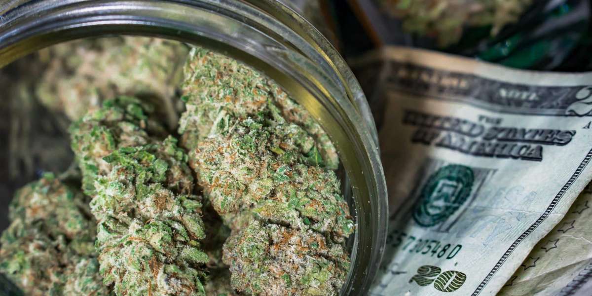 Colorado Sold Over Half a Billion Dollars Worth of Marijuana In 3 Months