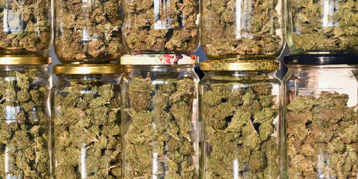 What Is Curing And How To Cure Your Cannabis Buds