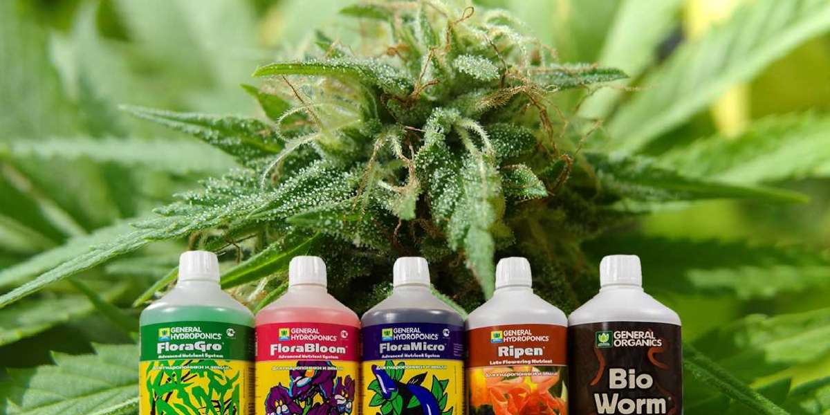 Here Are The 7 Best Nutrients For Your Cannabis Plants