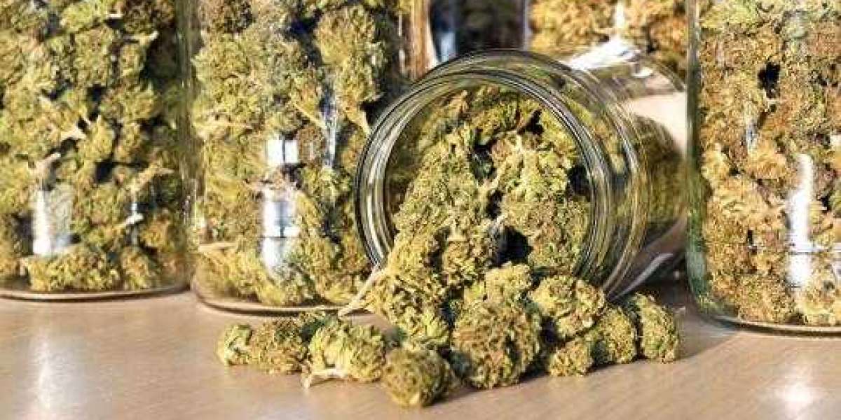 Tips To Successfully Dry And Cure Your Cannabis Buds To Maximizes Potency and Flavor