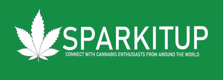 SparkItUp Social Network