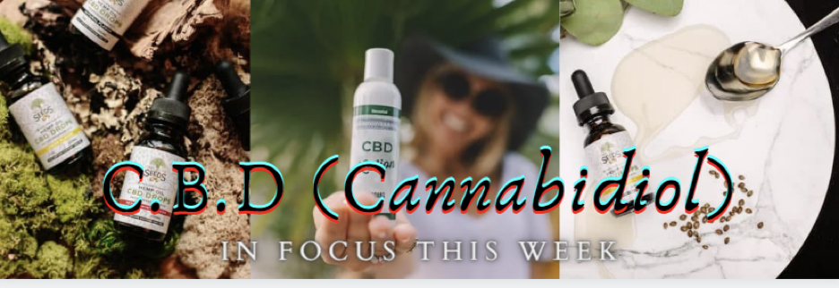 CBD - In Focus This Week | The We Store