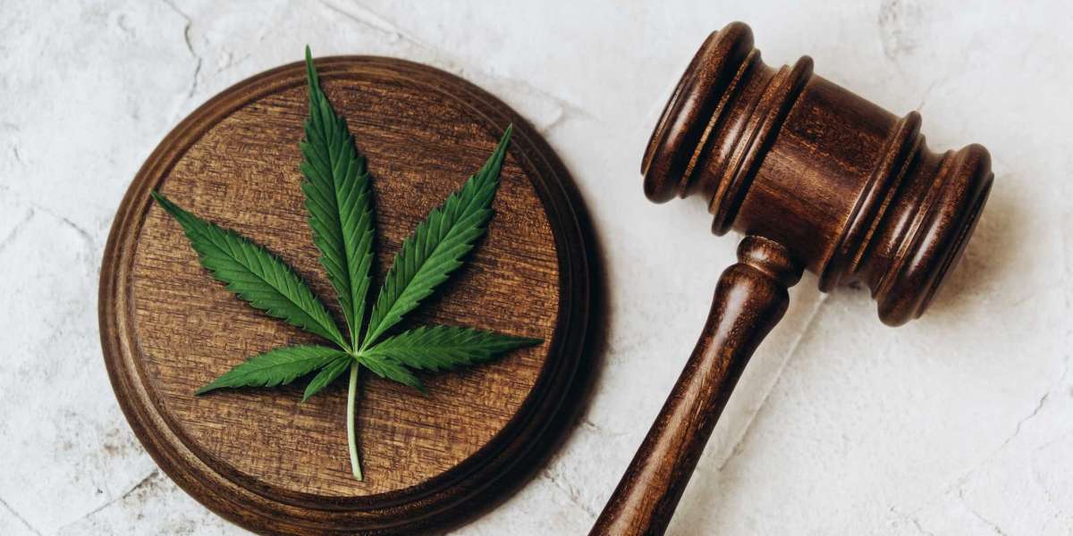 Understanding Colorado's Marijuana and Hemp Bills in 2023
